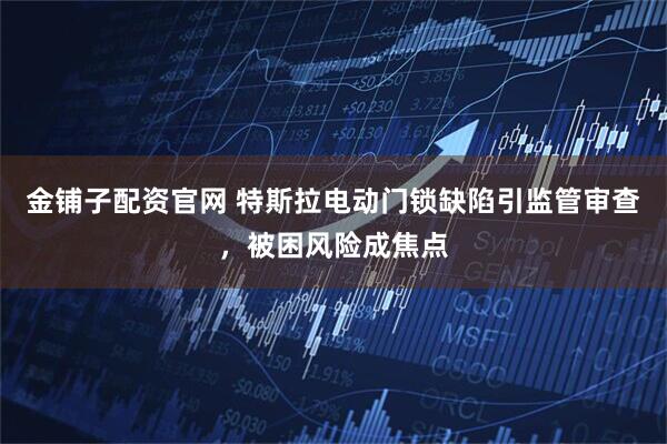 金铺子配资官网 特斯拉电动门锁缺陷引监管审查，被困风险成焦点