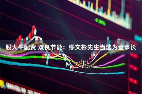 股大牛配资 双良节能：缪文彬先生当选为董事长
