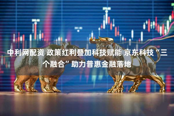中利网配资 政策红利叠加科技赋能 京东科技“三个融合”助力普惠金融落地