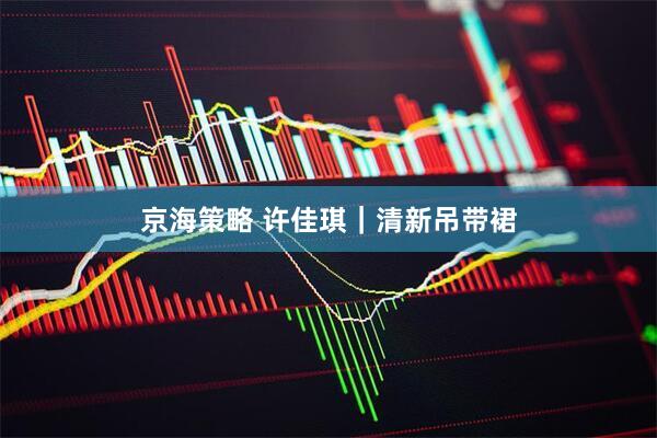 京海策略 许佳琪｜清新吊带裙