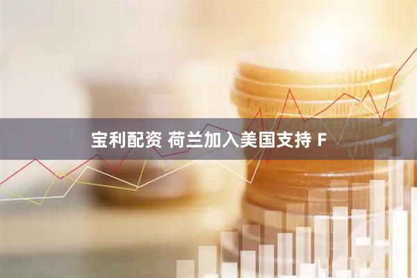 宝利配资 荷兰加入美国支持 F